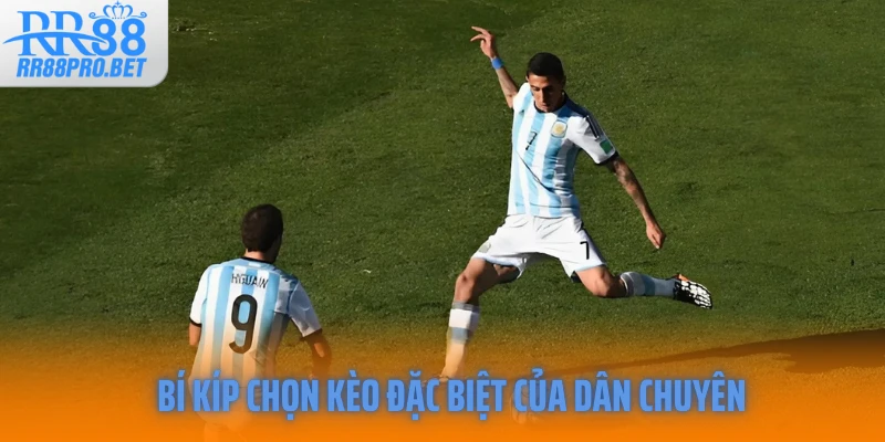 Bí kíp chọn kèo đặc biệt của dân chuyên